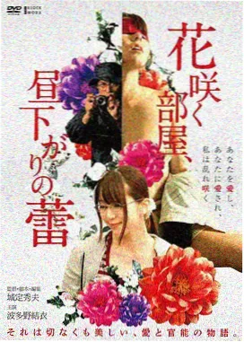 天天影院 阿甘正传 经典